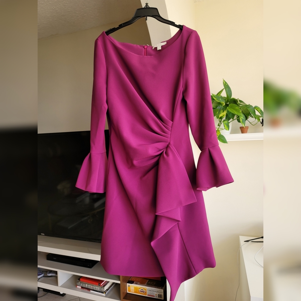 Jonathan Simkhai Ruffle Sleeve Dress